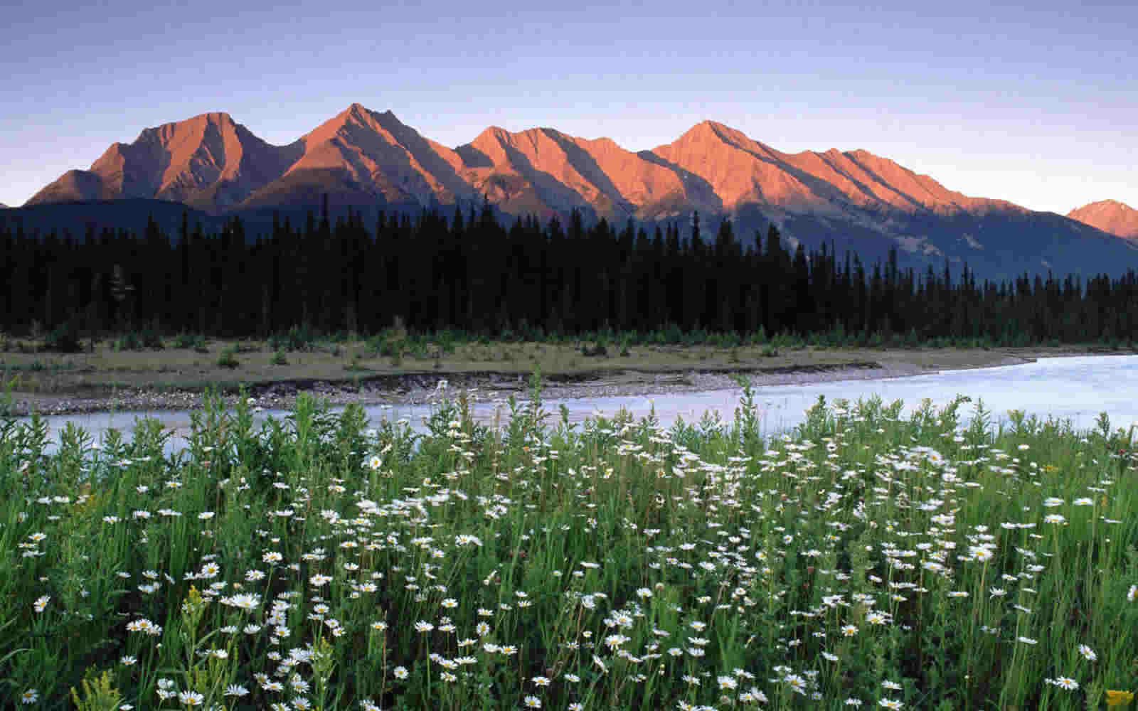 Colorado